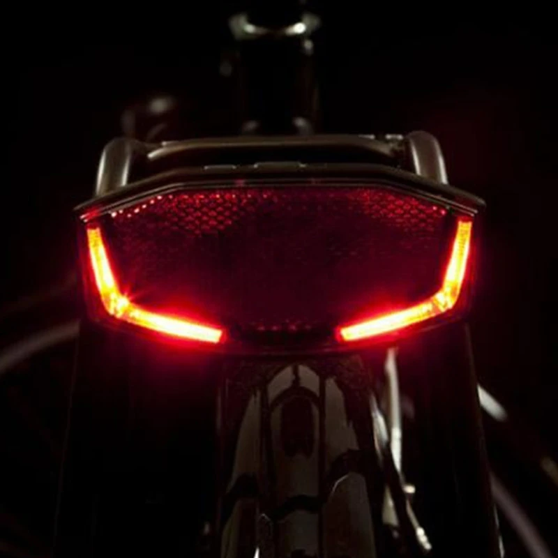 Éclairage De Sécurité LINEO Spanninga 4 Éclairage De Sécurité LINEO Spanninga – Image 2